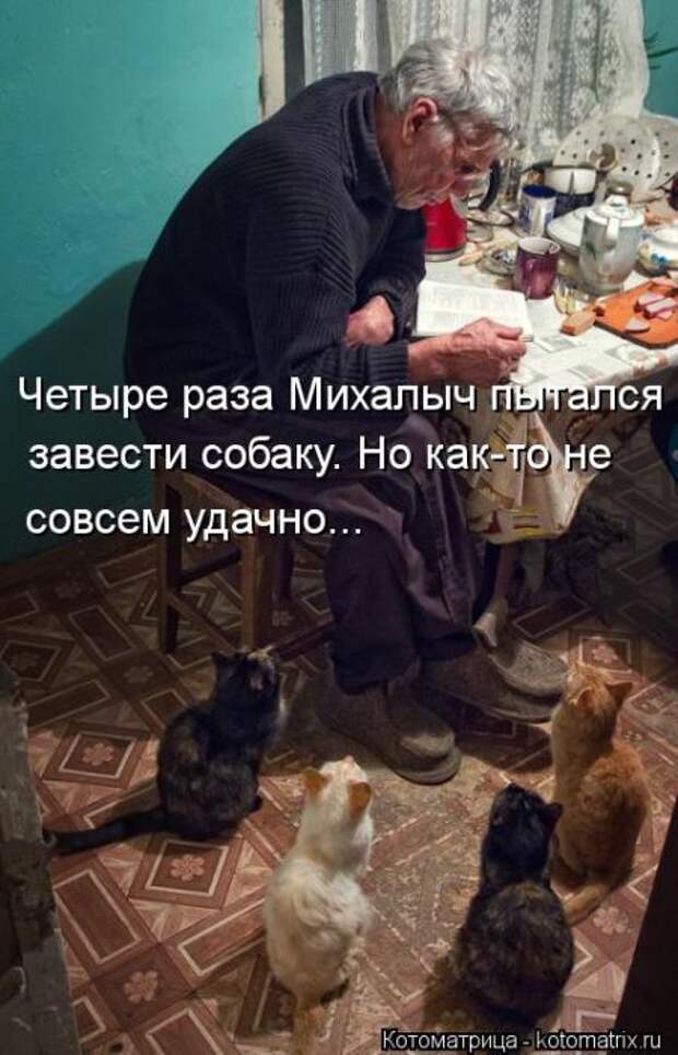 Прикольные котоматрицы (23 шт)