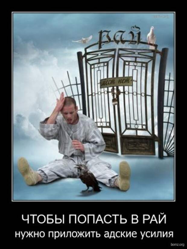 Демотиваторы приколы новые.