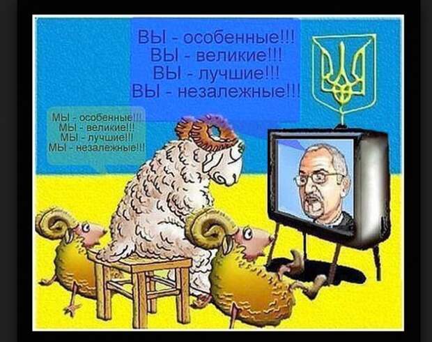 АЛЕКСАНДР РОДЖЕРС: ГЛАВНЫЙ ДЕФИЦИТ НА УКРАИНЕ – ДЕФИЦИТ МОЗГА. АЛЕКСАНДР РОДЖЕРС: ГЛАВНЫЙ ДЕФИЦИТ НА УКРАИНЕ – ДЕФИЦИТ МОЗГА.