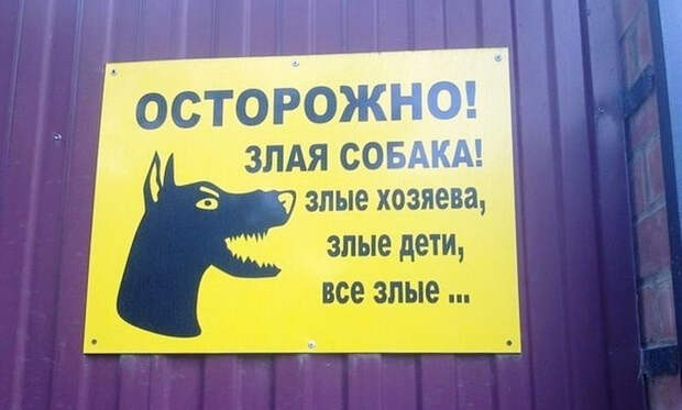 Звучит убедительно: 20 остроумных табличек собака, табличка, юмор