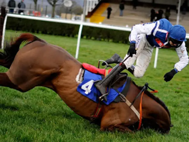 Швейцария спортсмены