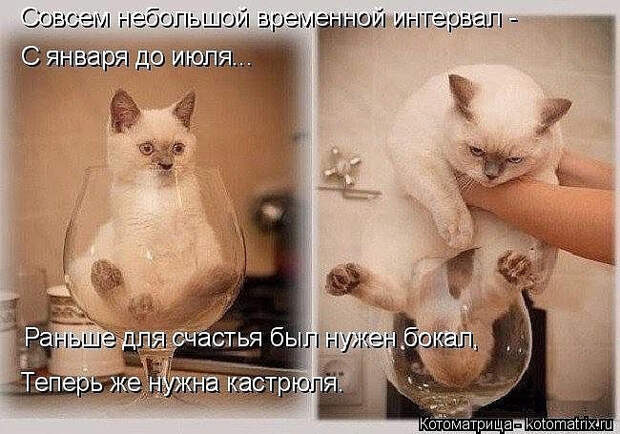 image (650x455, 249Kb)