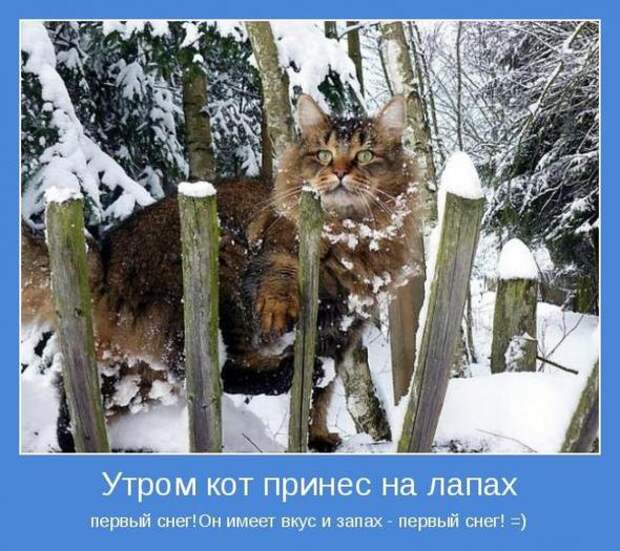 Мотиваторы
