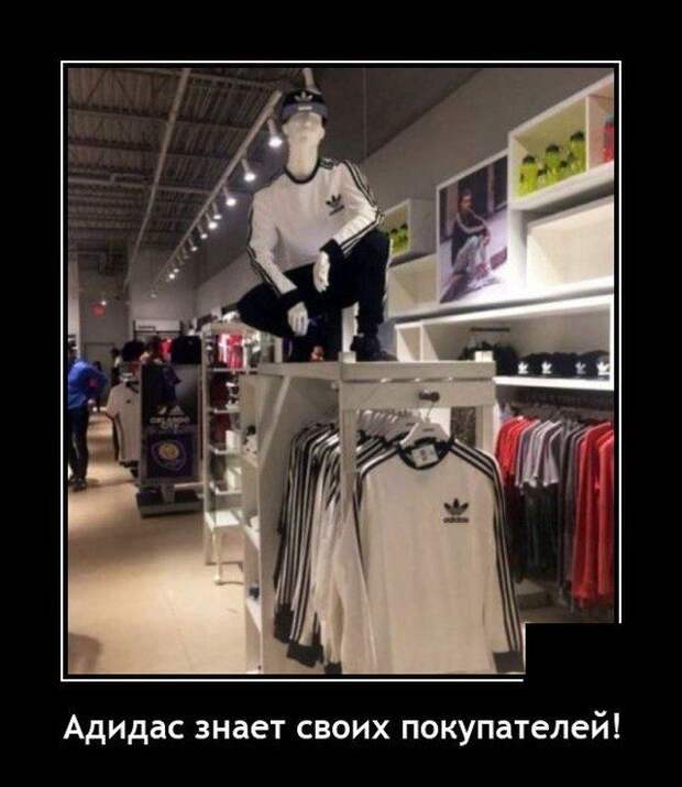 demotivatory-demotivator-smeshnye-demotivatory-demotivator-so-smyslom