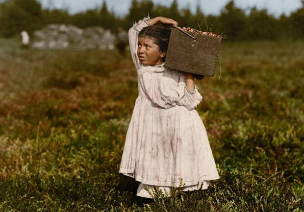 Дженни Камилло, 8 лет, сборщица клюквы. Пембертон, Нью-Джерси, 1910 дети, дети за работой, детский труд, история, работа, сша, фотографии, фотосвидетельства