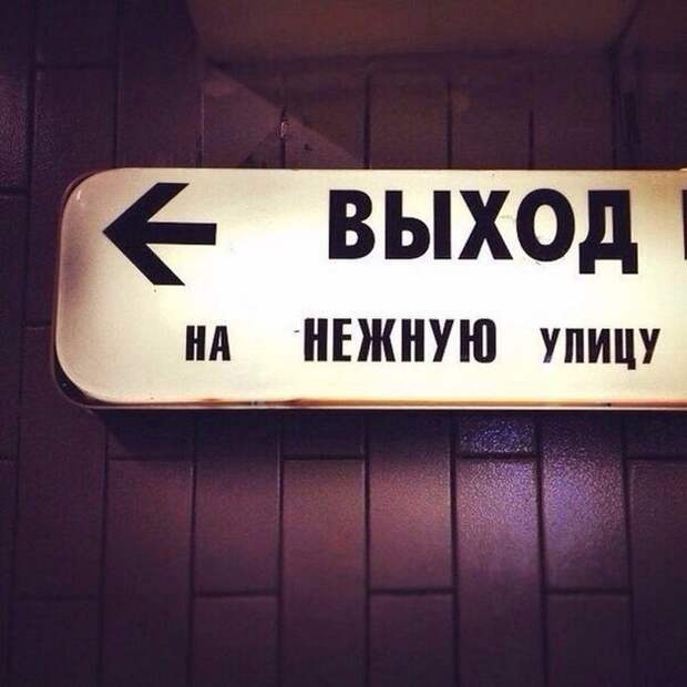 Надписи и объявления на наших улицах (41 фото)