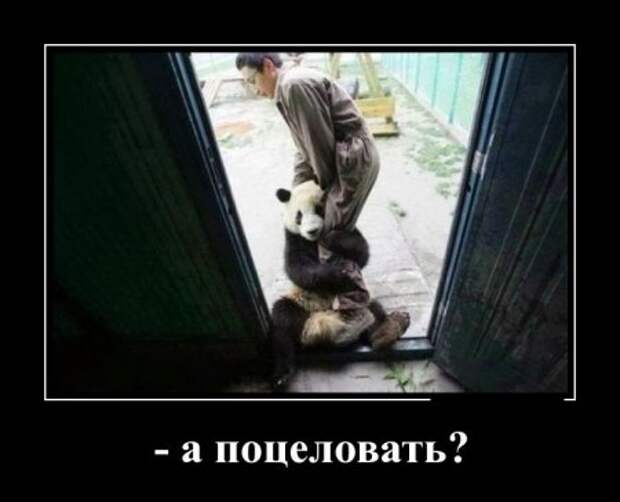 Демотиваторы, время потраченное с пользой для настроения.