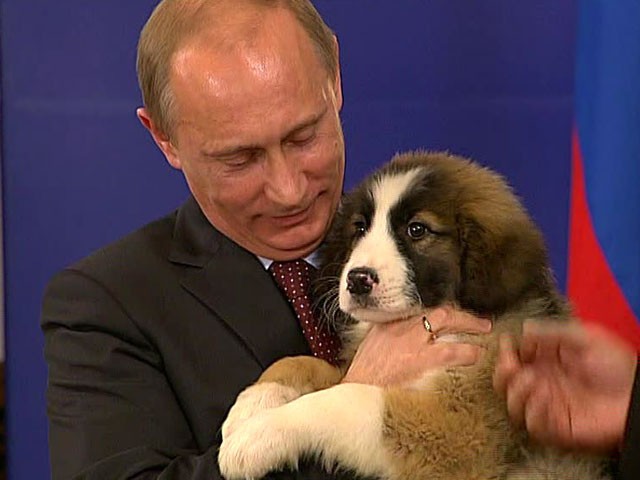 Владимир Владимирович Путин и звери добро, животные, мир, путин, россия