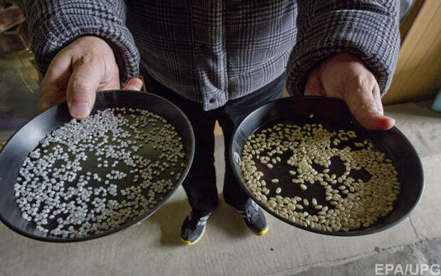 Потребление поддельного риса способно нанести непоправимый вред пищеварительной системе