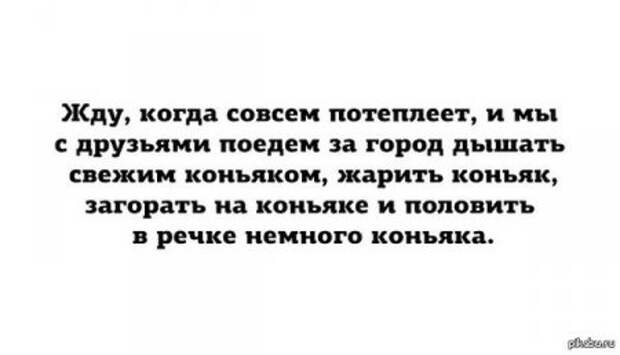 Хорошему человеку только прикольные фото.