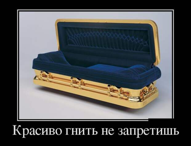 Демотиваторы (30 фото)