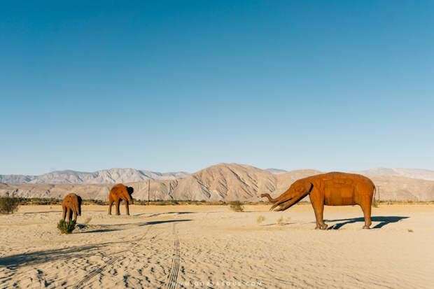 Anza-Borrego Springs-3.jpg