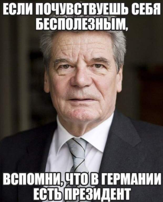 Порция прикольных картинок для настроения (52 шт)