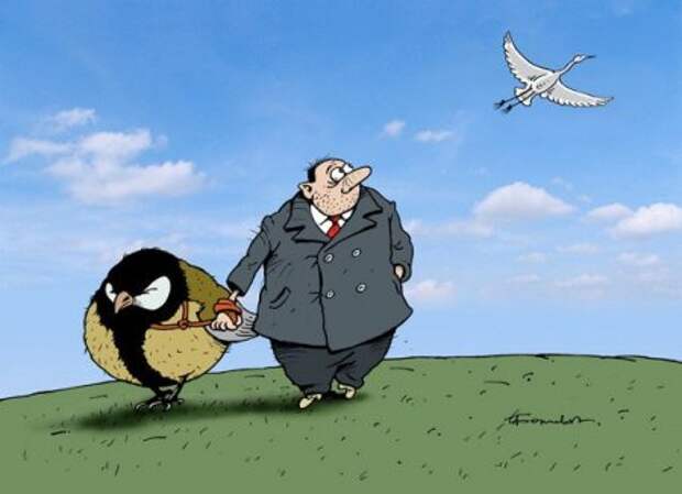Карикатуры, настроение будет только лучше.