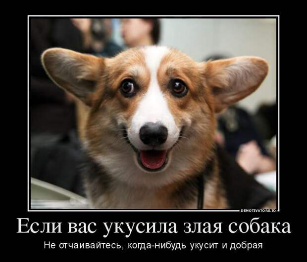 Демотиваторы демотиваторы, юмор