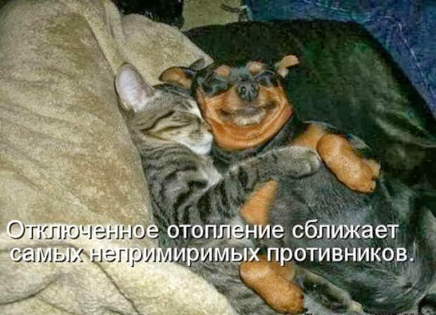 d5ab0187ee09d2b3fecd7ac74bf_prev