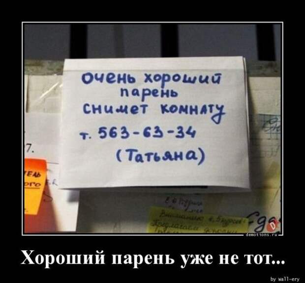 1587452377_demki-13.jpg