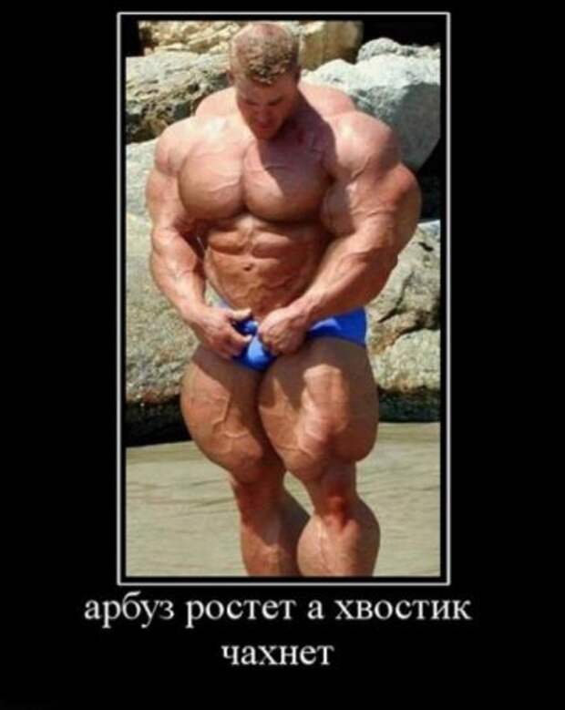 Пятничные демотиваторы новые приколы.