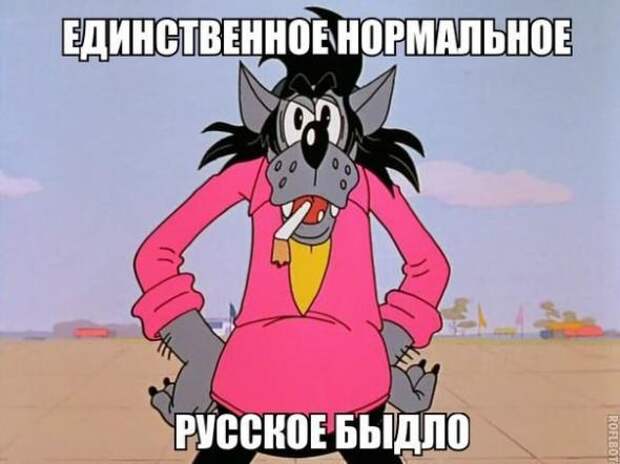 Картинки, юмор, приколы