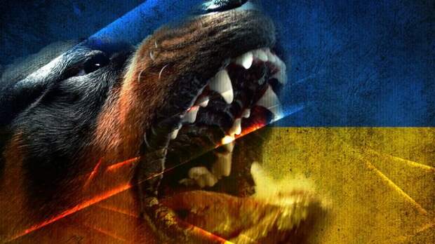 Украина в кольце врагов
