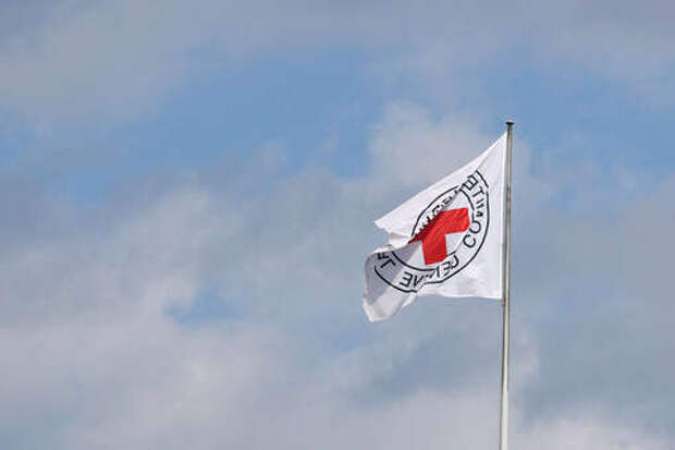 МККК получил 182 тысяч запросов о пропавших в связи с конфликтом на Украине