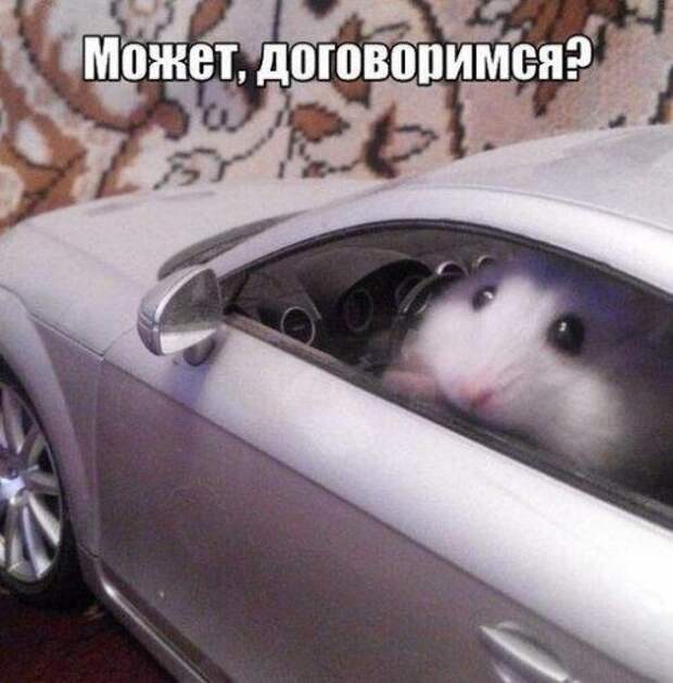 Приколы про авто...