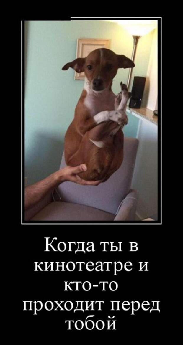 Демотиваторы (30 фото)