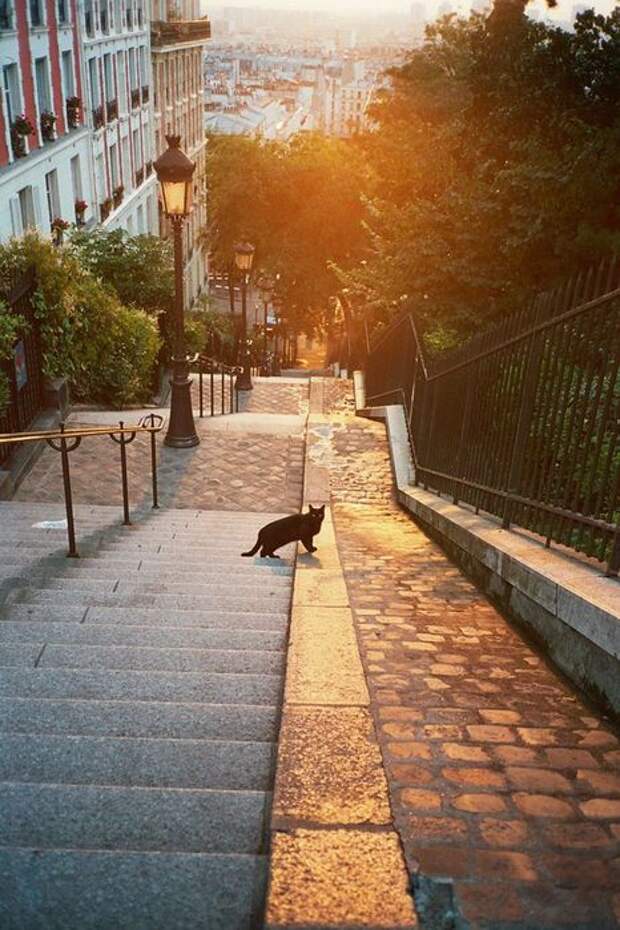 paris-montmartre-chats (466x700, 81Kb)