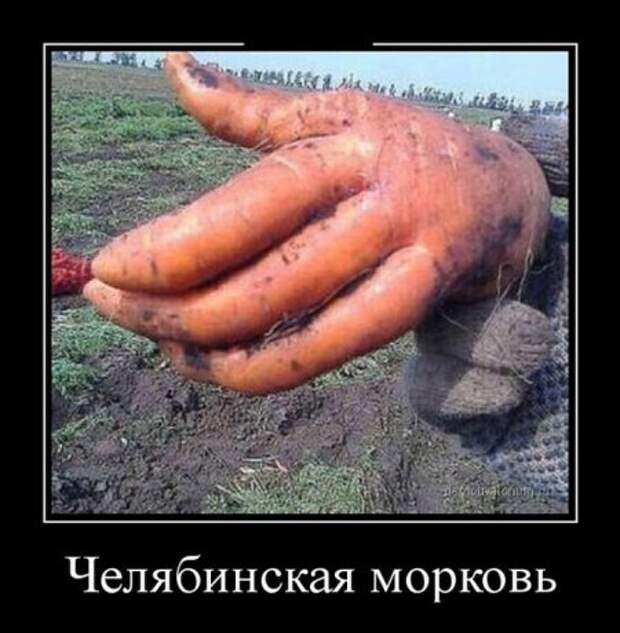 Картинки в черных рамках
