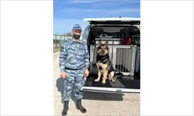 Служебная собака по кличке Царина нашла подростка в областном центре