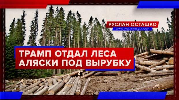 Трамп разрешил вырубить заповедник на Аляске, «экошизики» глотают Этодругин