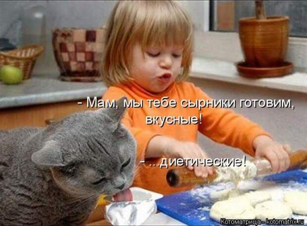 Лучшие котоматрицы недели