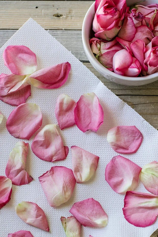 Как высушить лепестки роз за 2 минуты, сохранив их форму и цвет