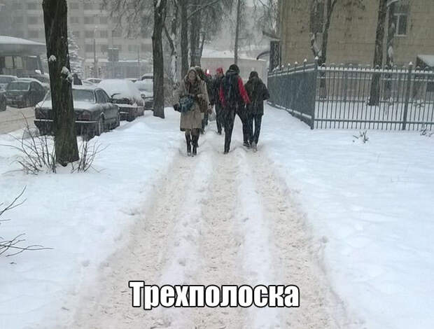2.  авто, автоприколы, приколы