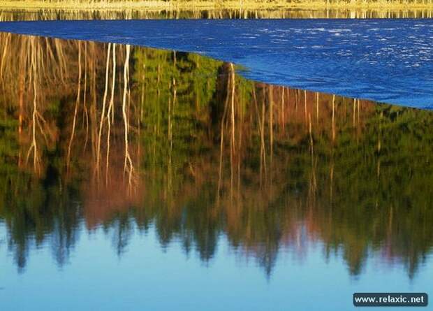 Andris_Eglitis_033 Andris_Eglitis_033