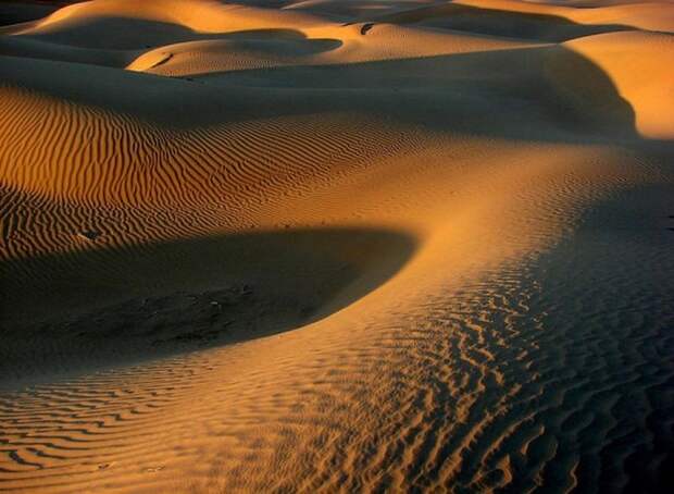 Пустыня Тар, Индия, Раджастан природа, пустыня