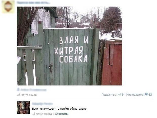 Смешные комментарии из социальных сетей Смешные комментарии из социальных сетей картинки, прикол, соц сети, юмор