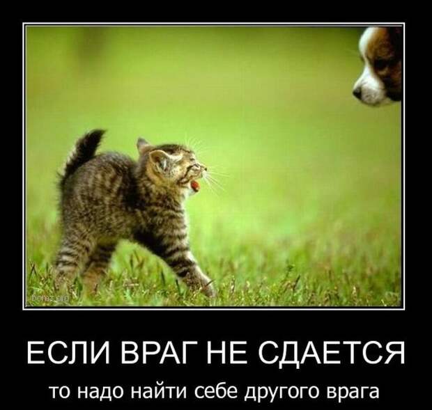 Демотиваторы (30 фото) Демотиваторы (30 фото)