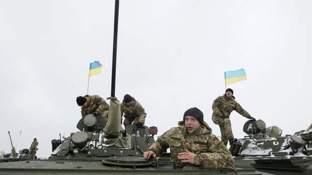 Британский военный: Украинские силовики не умеют ни стрелять, ни командовать Британский военный: Украинские силовики не умеют ни стрелять, ни командовать