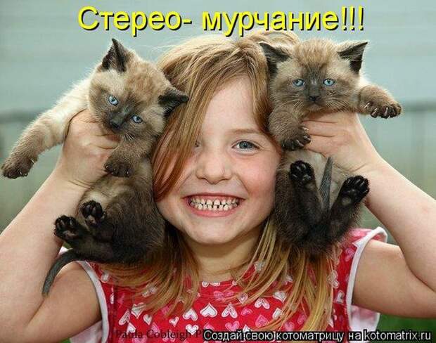 Мысли вслух :)