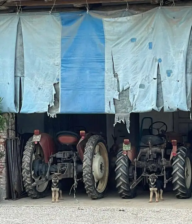 ���� � ������� ��� �������� ���������� � ���� ��������