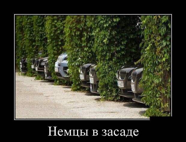Душевные демотиваторы: лучшие за неделю Душевные демотиваторы: лучшие за неделю