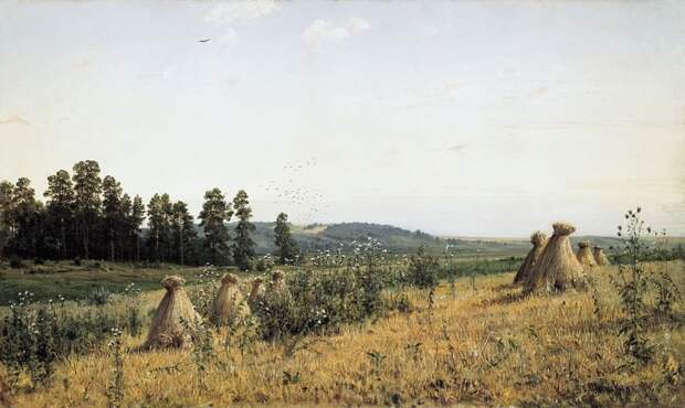 Русская живопись: Иван Шишкин Шишкин, картины, природа