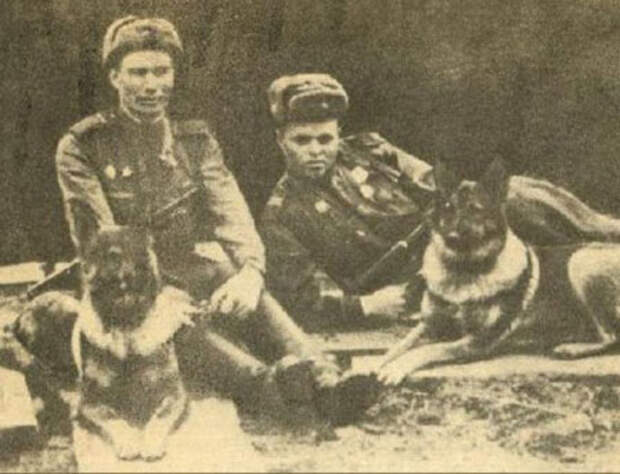 Сержант Филатов и Дина