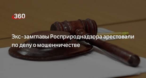 Суд отправил экс-замглавы Росприроднадзора Долматова в СИЗО