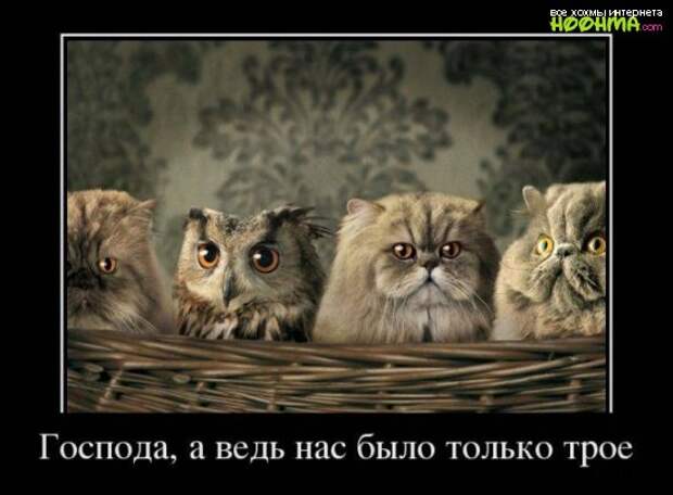 Отборные демотиваторы на субботу