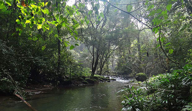 10 самых впечатляющих и изнурительных туристических троп