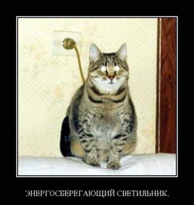 демотиваторы смешные картинки.