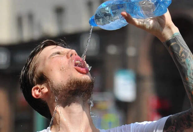 Врач Вялов назвал ошибки, приводящие к сгущению крови и "удару" по почкам