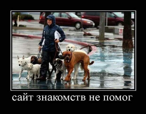 Демотиваторы (30 фото) Демотиваторы (30 фото)